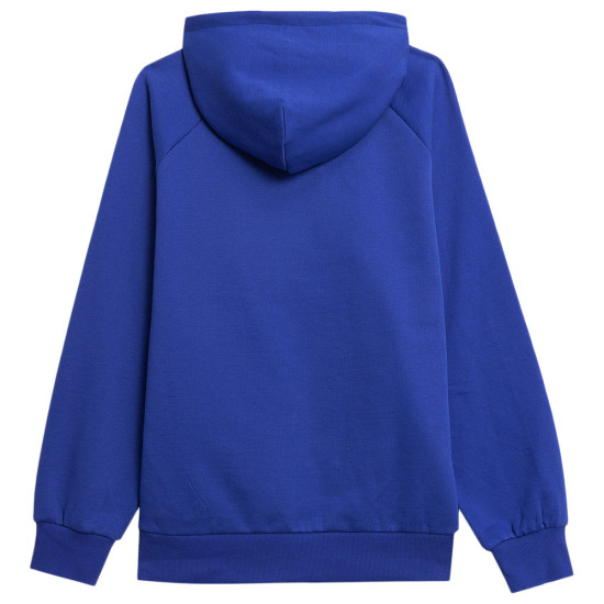 4F Unisex φούτερ
